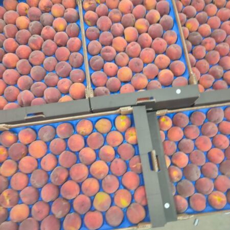 Peach
