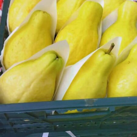 Guava