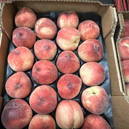 Sweet Peach (Sugary Peach)