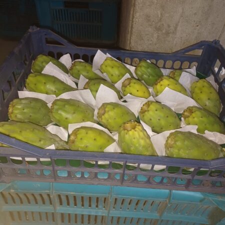 Prickly Pear (Cactus Fruit)