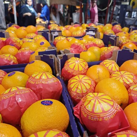 Egyptian Orange