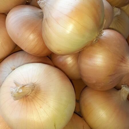 Yellow Onion