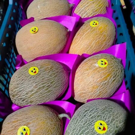 Cantaloupe (Melon)